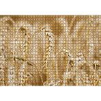 Cakapuzzle Eğilmiş Buğday Başakları Yakın Çekim 120 Parça Ahşap Puzzle