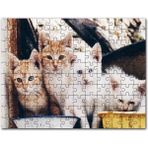 Cakapuzzle Eski Pencerede Sarı ve Beyaz Yavru Kediler Mdf 120 Parça Puzzle