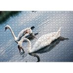 Cakapuzzle Fırtına Çocuk ve Pelikan 120 Parça Ahşap Puzzle