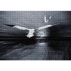 Cakapuzzle Gece Ay Göl Balıkçı Kuşları 120 Parça Ahşap Puzzle