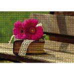 Cakapuzzle Gerbera Eski Kitap ve Dantel 120 Parça Ahşap Puzzle