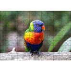 Cakapuzzle Gökkuşağı Lorikeet Papağanı 120 Parça Ahşap Puzzle