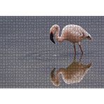 Cakapuzzle Gölde Avlanan Flamingo 120 Parça Ahşap Puzzle