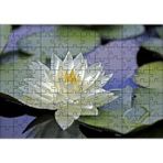 Cakapuzzle Gölde Nilüfer Çiçeği ve Yaprakları 120 Parça Ahşap Puzzle