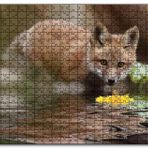 Cakapuzzle Göldeki Sarı Çiçeği İzleyen Yavru Tilki Mdf 1000 Parça Puzzle