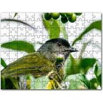 Cakapuzzle Gri Sarı Kuş ve Dalda Yeşil Meyveler Mdf 255 Parça Puzzle