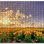 Cakapuzzle Günbatımında Bulutlar ve Sarı Laleler Mdf 120 Parça Puzzle