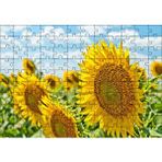 Cakapuzzle Günebakan Çiçekleri 120 Parça Ahşap Puzzle