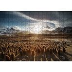 Cakapuzzle Güney Georgiada Kral Pengueni Yavruları 120 Parça Ahşap Puzzle