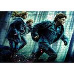 Cakapuzzle Harry Potter ve Ölüm Yadigarları Kaçış Görseli 120 Parça Ahşap Puzzle