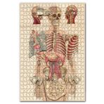 Cakapuzzle İç Organlar İnsan Anatomisi Görseli Ahşap 1000 Parça Puzzle