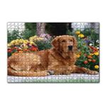 Cakapuzzle Kahverengi Golden Rertriever ve Çiçekler 255 Parça Puzzle