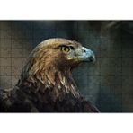 Cakapuzzle Kahverengi Kartal Mavi Gagalı 255 Parça Puzzle