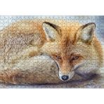 Cakapuzzle Kahverengi Tilki Kendine Sokulmuş Dinleniyor 120 Parça Ahşap Puzzle