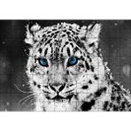 Cakapuzzle Kar Leoparı ve Mavi Gözleri 120 Parça Ahşap Puzzle