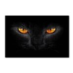 Cakapuzzle Kara Kedi ve Sarı Gözleri 255 Parça Puzzle