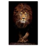 Cakapuzzle Karanlık Arkaplan Görkemli Erkek Aslan Ahşap 1000 Parça Puzzle