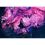 Cakapuzzle Karışan Pembe Lacivert Dalgalı Desenler Mdf 120 Parça Puzzle