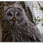 Cakapuzzle Karlı Ormanda Ağacın Önündeki Baykuş Mdf 1000 Parça Puzzle