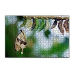 Cakapuzzle Kelebek Kozası ve Renkli Kelebek Görseli 255 Parça Puzzle