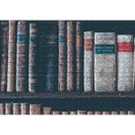 Cakapuzzle Kitaplıkta Deri Kaplı Kitap Görsel 120 Parça Puzzle