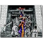 Cakapuzzle Kobe Bryant Mücadele 255 Parça Puzzle