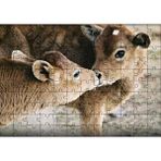 Cakapuzzle Koklaşan Kahverengi Buzağılar Görseli 120 Parça Ahşap Puzzle
