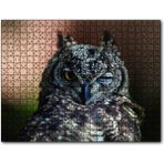 Cakapuzzle Komik Baykuş 120 Parça Puzzle