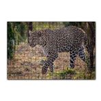 Cakapuzzle Kuru Otlar Üzerinde Yürüyen Leopar 120 Parça Puzzle