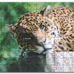 Cakapuzzle Kütüğün Üzerinde Dinlenen Leopar Yakın Çekim Mdf 1000 Parça Puzzle