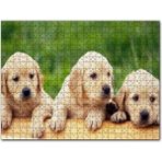 Cakapuzzle Kütüğün Üzerinde Üç Sevimli Labrador Mdf 1000 Parça Puzzle