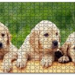 Cakapuzzle Kütüğün Üzerinde Üç Sevimli Labrador Mdf 120 Parça Puzzle