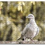 Cakapuzzle Kütük Üzerinde Gri Kumru Flu Arkaplan Mdf 500 Parça Puzzle