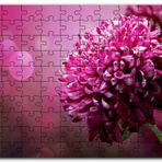 Cakapuzzle Lila Rengi Çiçek Yakın Çekim Flu Arkaplan Mdf 120 Parça Puzzle