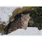 Cakapuzzle Mağara Ağzında Kar Leoparı 120 Parça Ahşap Puzzle