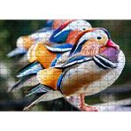 Cakapuzzle Mandarin Ördekleri 120 Parça Ahşap Puzzle