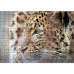 Cakapuzzle Muhteşem Güzellikteki Leopar Yakın Çekim 120 Parça Ahşap Puzzle