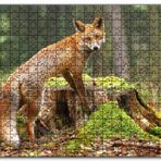 Cakapuzzle Ormanda Kütük Üzerindeki Çelimsiz Tilki Mdf 1000 Parça Puzzle