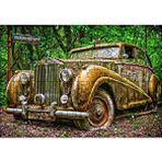 Cakapuzzle Ormanda Terkedilmiş Rolls Royce 120 Parça Ahşap Puzzle