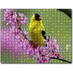 Cakapuzzle Pembe Çiçekli Dalda Sarı Siyah Kuş Mdf 120 Parça Puzzle