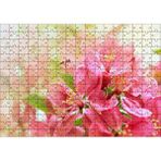 Cakapuzzle Pembe Elma Çiçeği Görseli 120 Parça Ahşap Puzzle