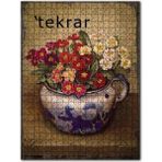 Cakapuzzle Saksıda Kırmızı Beyaz Menekşe Çiçek Görseli 120 Parça Puzzle