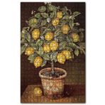 Cakapuzzle Saksıda Limon Ağacı Resm Görseli Ahşap 1000 Parça Puzzle