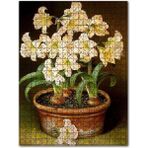 Cakapuzzle Saksıda Soğanlı Çiçekler Resmi 120 Parça Puzzle