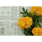 Cakapuzzle Sarı Çiçekler Ve Bitkisel Şifa Kitabı Yaprakları Puzzle Yapboz Mdf Ahşap