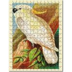 Cakapuzzle Sarı Tepeli Kakadu Kuş Görseli Mdf 120 Parça Puzzle