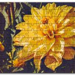Cakapuzzle Sarı Yıldız Çiçeği Yakın Çekim Mdf 255 Parça Puzzle