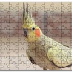 Cakapuzzle Sevimli Sarı Kakadu Papağanı Mdf 255 Parça Puzzle