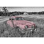 Cakapuzzle Siyah Beyaz Çayırlardaki Eski Kırmızı Araba 120 Parça Ahşap Puzzle