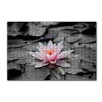 Cakapuzzle Siyah Beyaz Lotus Yaprakları ve Pembe Nilüfer Çiçeği 120 Parça Ahşap Puzzle